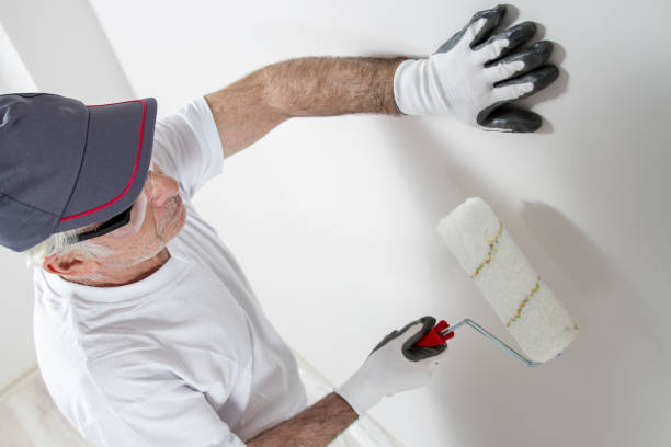 Best Drywall Sanding and Smoothing  in Garden View, PA